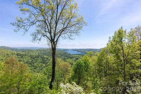 562 Panther Ridge Road Lake Toxaway NC 28747