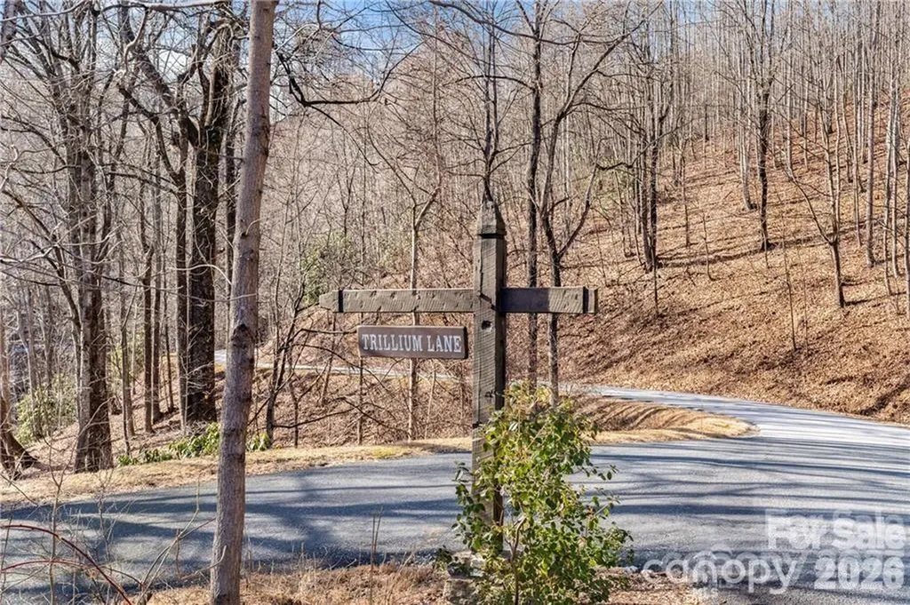 28 Trillium Lane Black Mountain NC 28711
