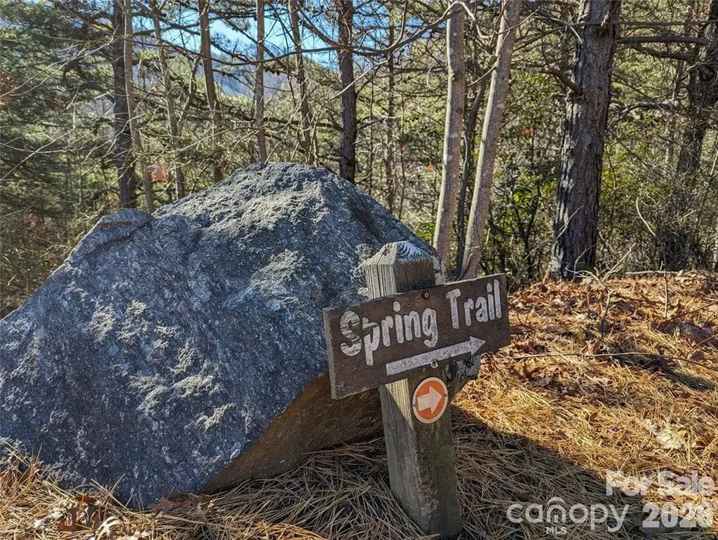 28 Trillium Lane Black Mountain NC 28711