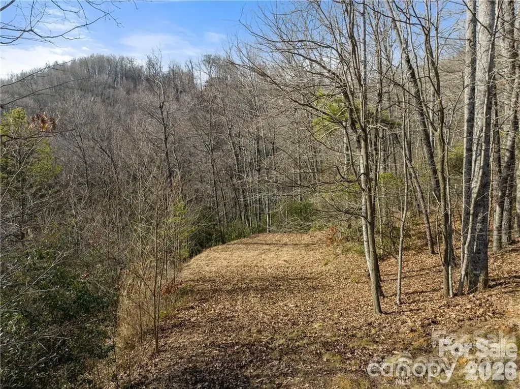 28 Trillium Lane Black Mountain NC 28711