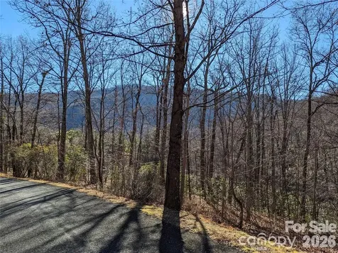 28 Trillium Lane Black Mountain NC 28711