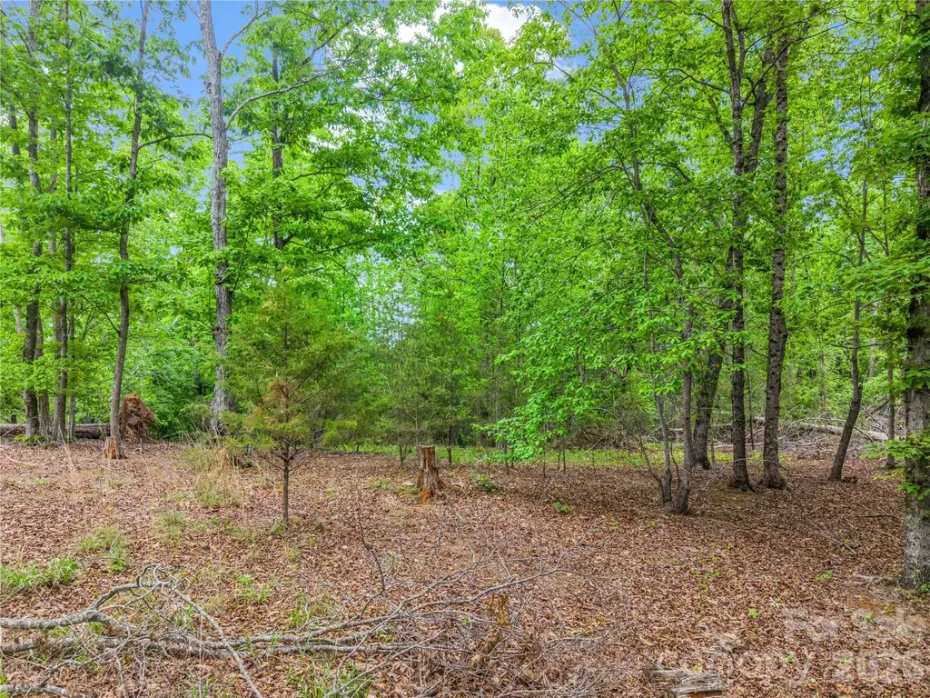 0 Wilderness Ridge Rutherfordton NC 28139