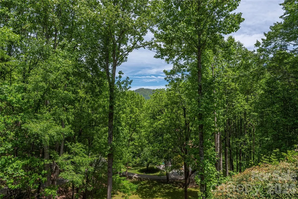 1551 Walnut Creek Road Waynesville NC 28786