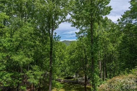 1551 Walnut Creek Road Waynesville NC 28786