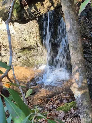 0 Roper Hollow Road Morganton NC 28655