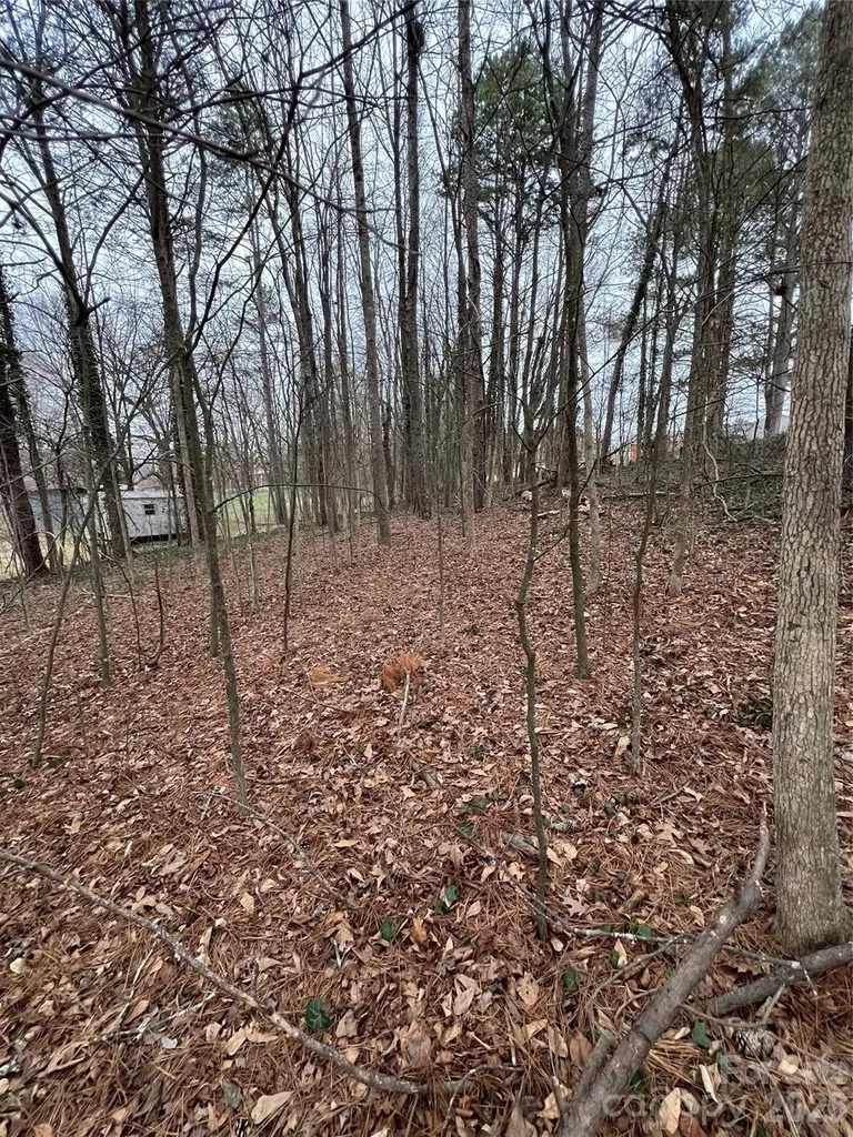 0 Singlewood Road Albemarle NC 28001