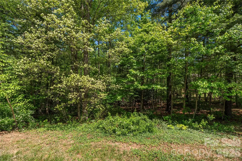 305 & 349 Freedom Trail Court Zirconia NC 28790