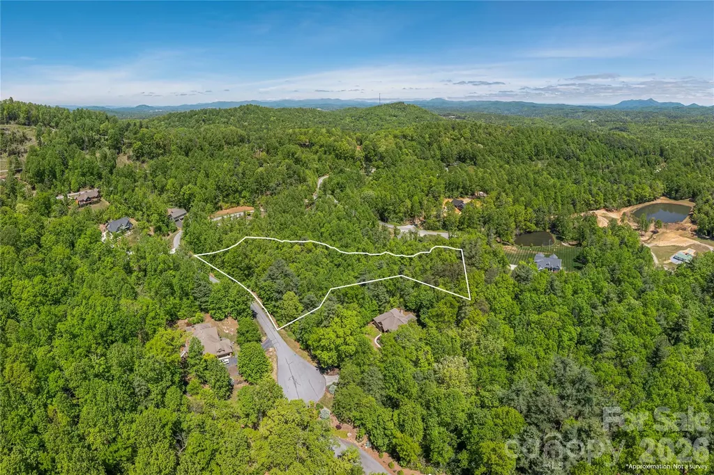 305 & 349 Freedom Trail Court Zirconia NC 28790