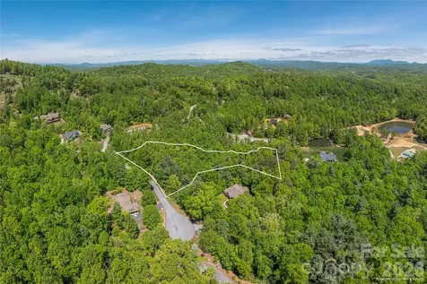 305 & 349 Freedom Trail Court Zirconia NC 28790