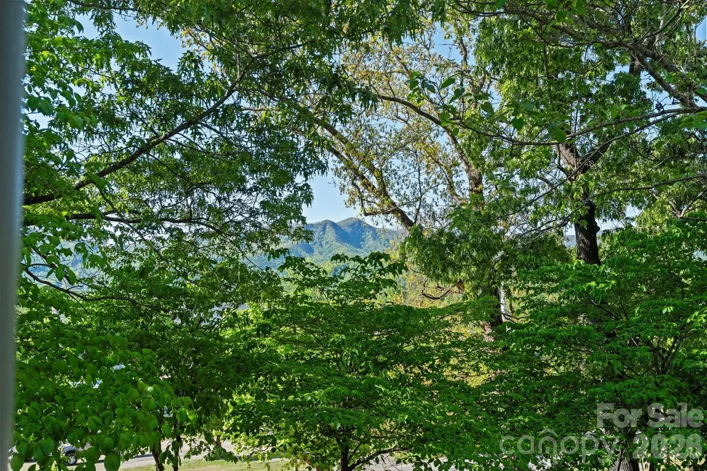 33 Vance Avenue Black Mountain NC 28711
