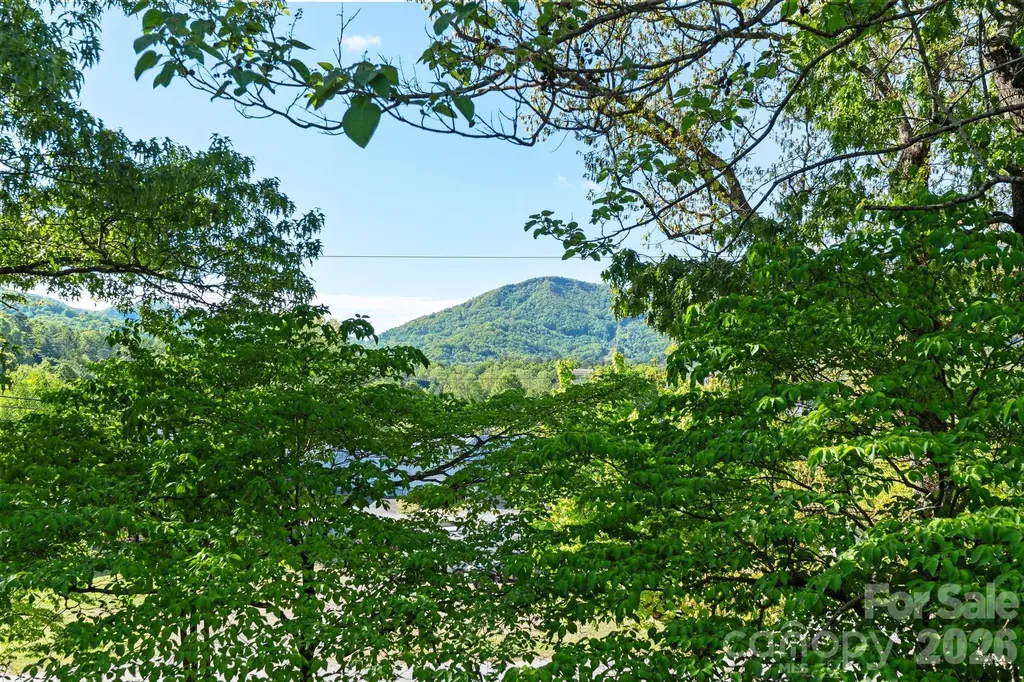 33 Vance Avenue Black Mountain NC 28711