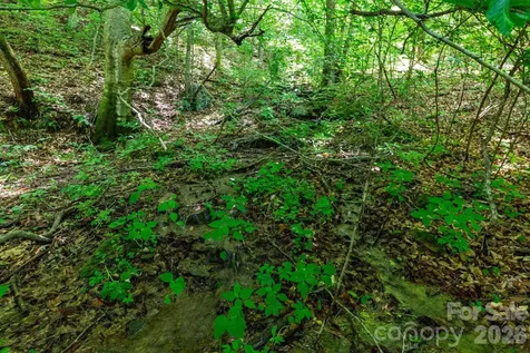 329 N Fork Road Barnardsville NC 28709