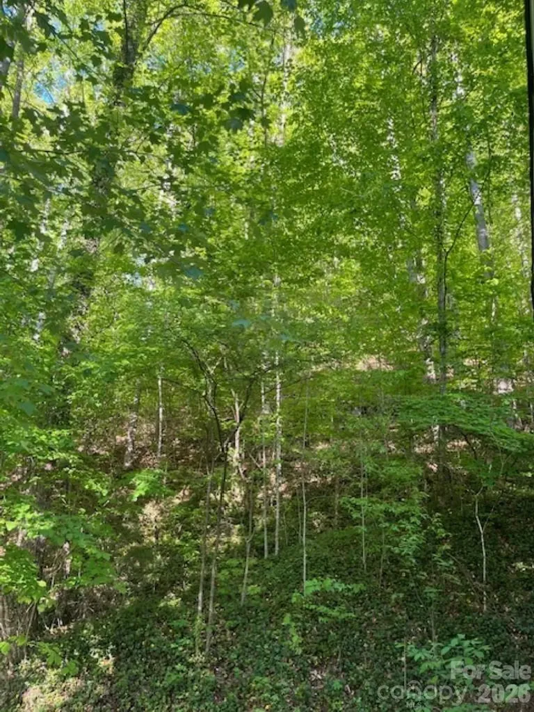 50 E Wabash Drive Sylva NC 28779
