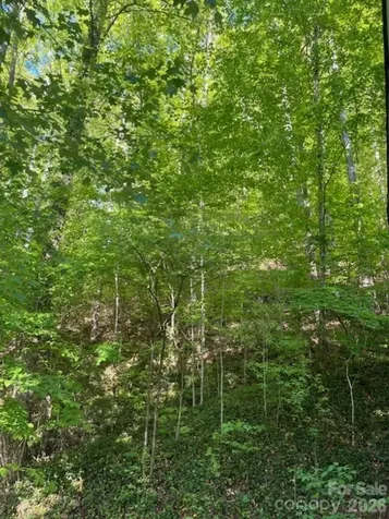 50 E Wabash Drive Sylva NC 28779