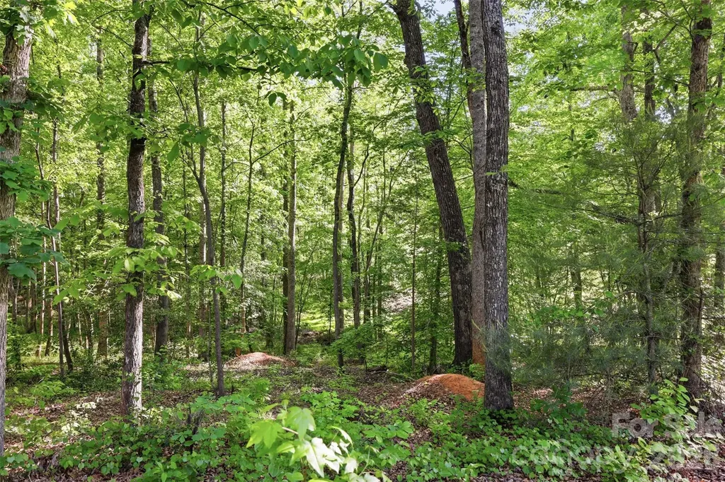 296 Broken Arrow Drive Statesville NC 28677