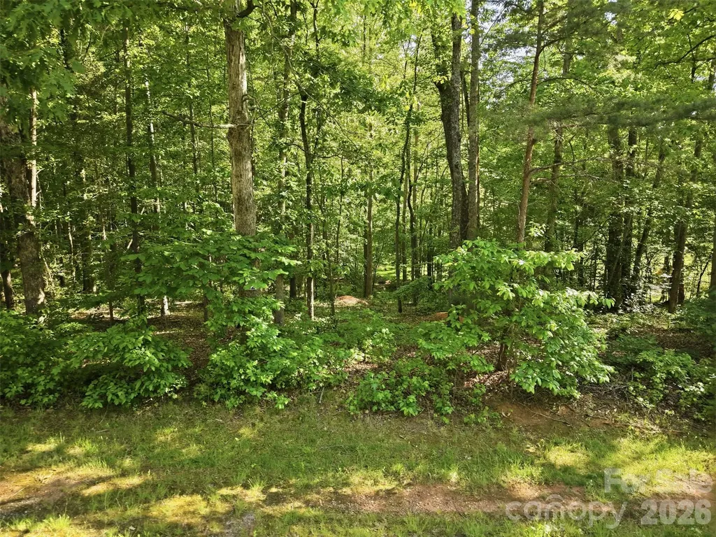296 Broken Arrow Drive Statesville NC 28677
