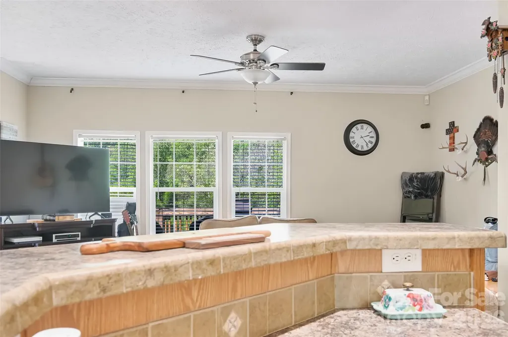 371 Starnes Cove Road Candler NC 28715