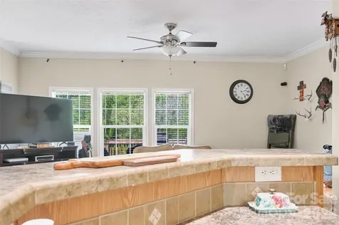 371 Starnes Cove Road Candler NC 28715