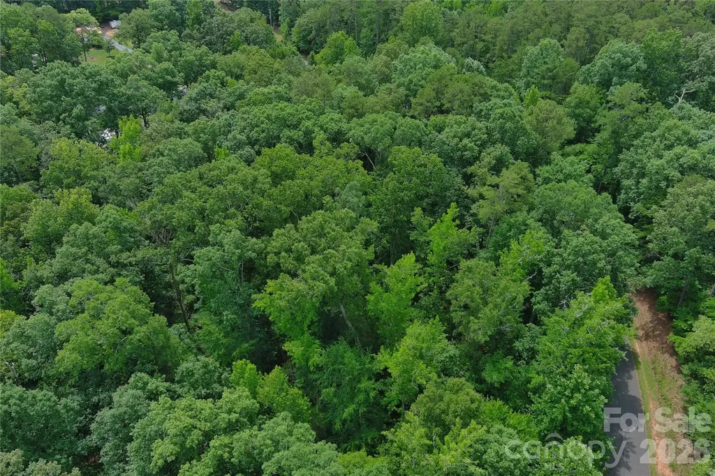 247 Millwheel Lane Mount Gilead NC 27306