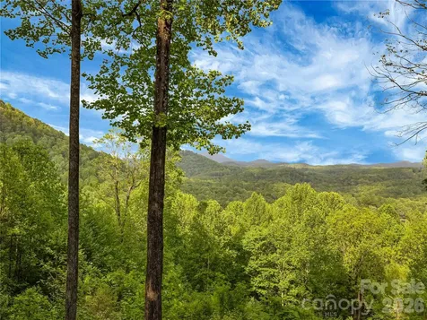 586 Tanglewood Lane Saluda NC 28773
