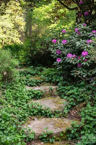 18 Forest Road Asheville NC 28803