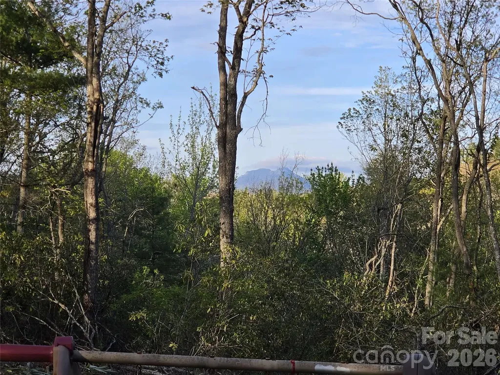 692 Buck Hill Road Newland NC 28657