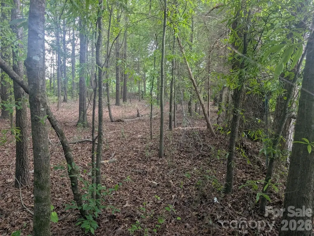 1.29 Acres 320 W Red Cross Road Oakboro NC 28129