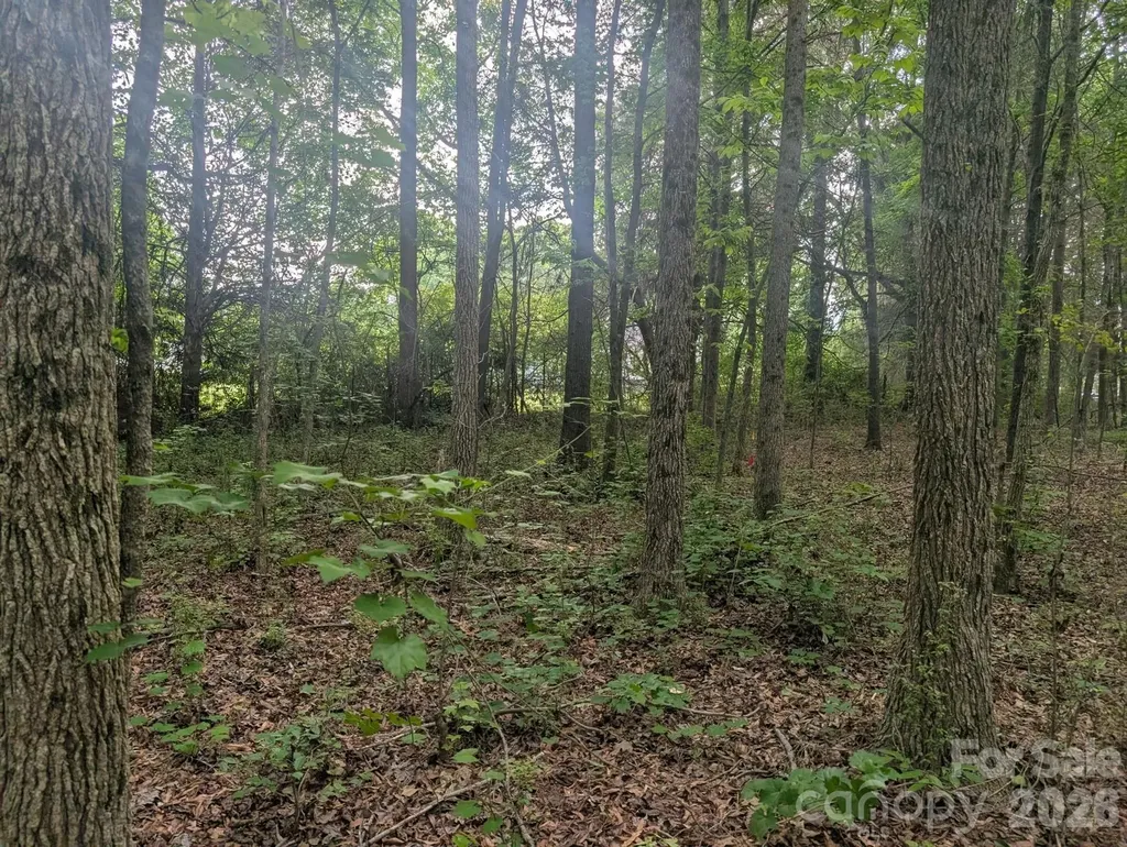 1.29 Acres 320 W Red Cross Road Oakboro NC 28129