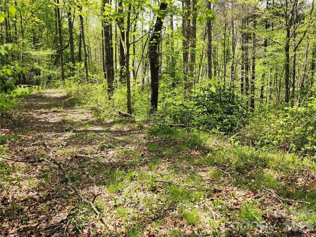 165 Wagon Wheel Way Canton NC 28716