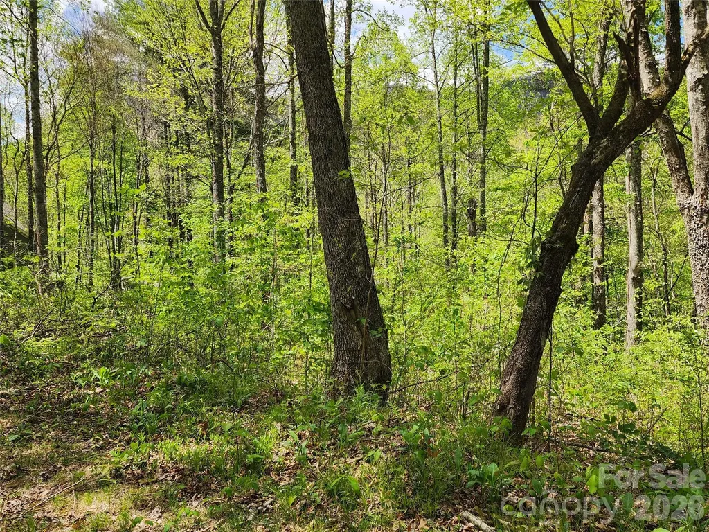 165 Wagon Wheel Way Canton NC 28716
