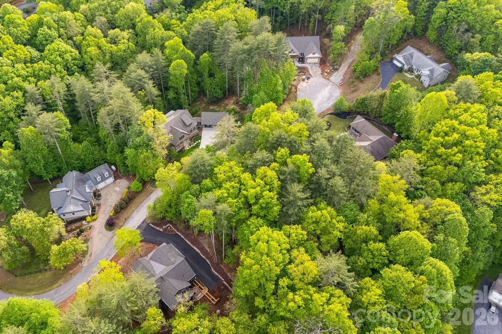 0000 Newcastle Road Brevard NC 28712