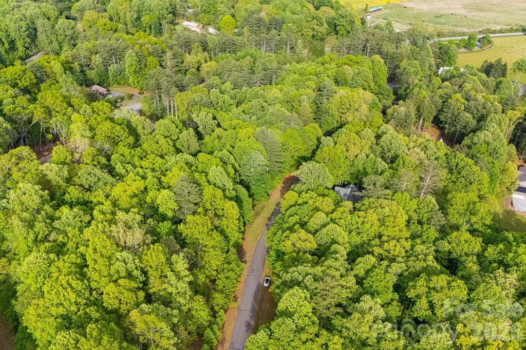 0000 Newcastle Road Brevard NC 28712