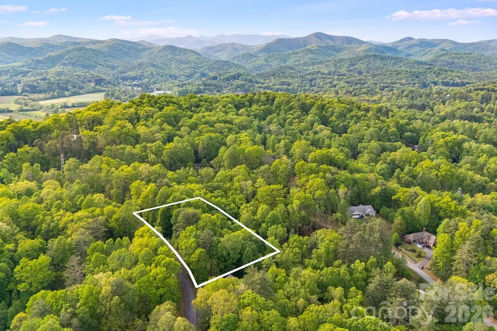 0000 Newcastle Road Brevard NC 28712