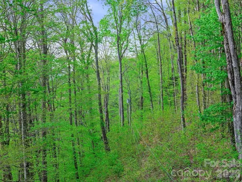 1161 Deep Gap Road Burnsville NC 28714