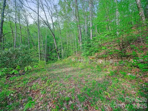 1161 Deep Gap Road Burnsville NC 28714