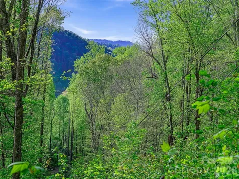1161 Deep Gap Road Burnsville NC 28714