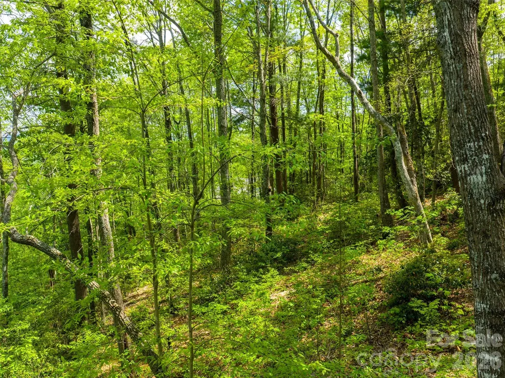 490 Barrington Drive Asheville NC 28803