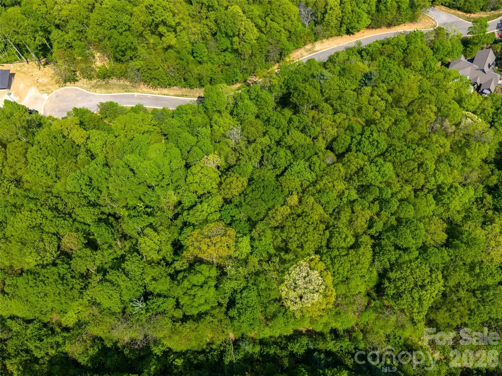 490 Barrington Drive Asheville NC 28803