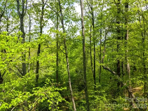 490 Barrington Drive Asheville NC 28803