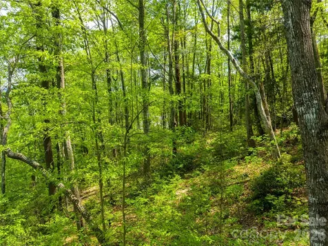 490 Barrington Drive Asheville NC 28803