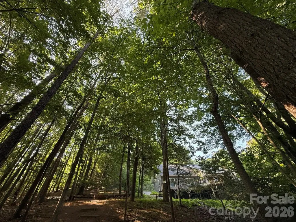 153 Skyview Circle Asheville NC 28804