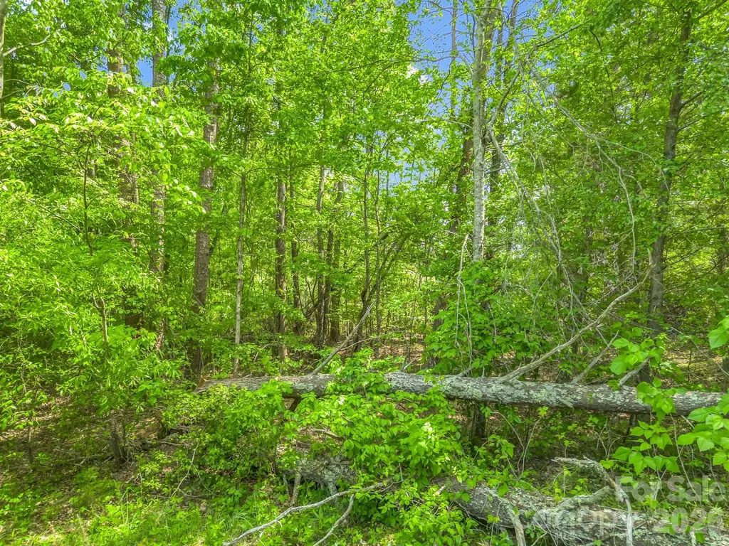 00 Smith Grove Road Forest City NC 28043