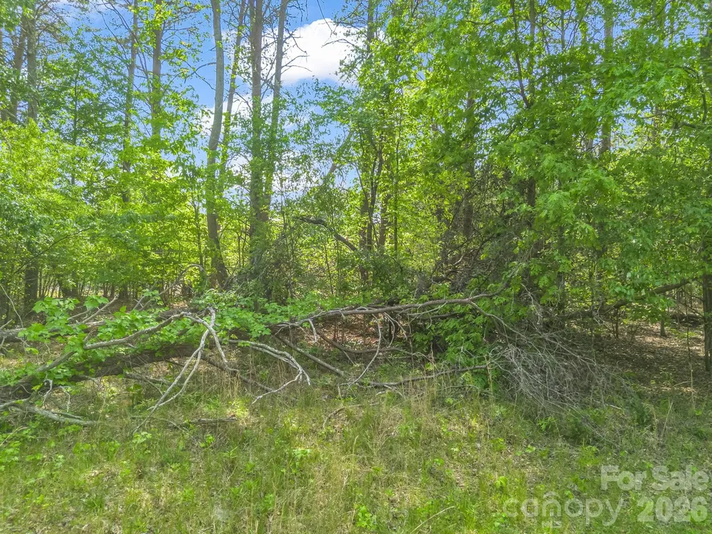 00 Smith Grove Road Forest City NC 28043