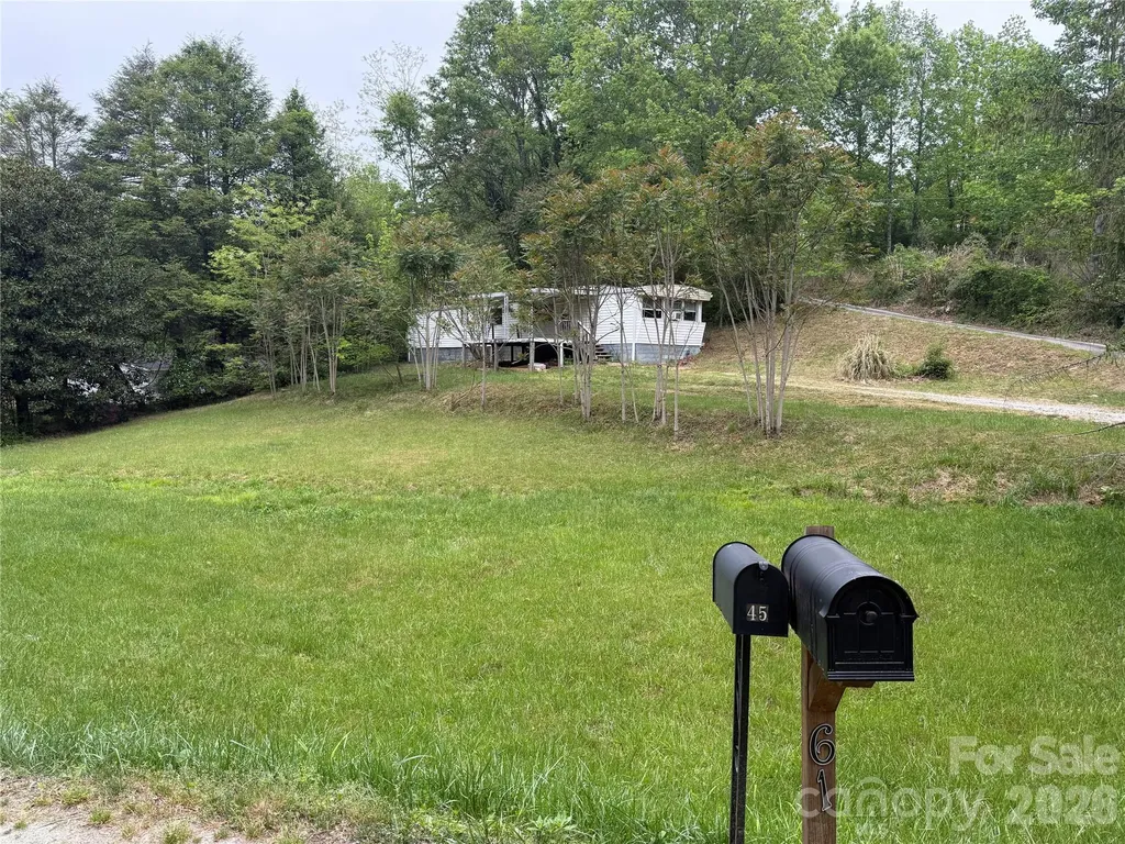 45 Overbrook Drive Saluda NC 28773