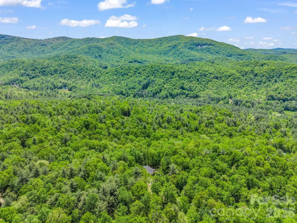 565 Pinewood Knoll Drive Hendersonville NC 28739