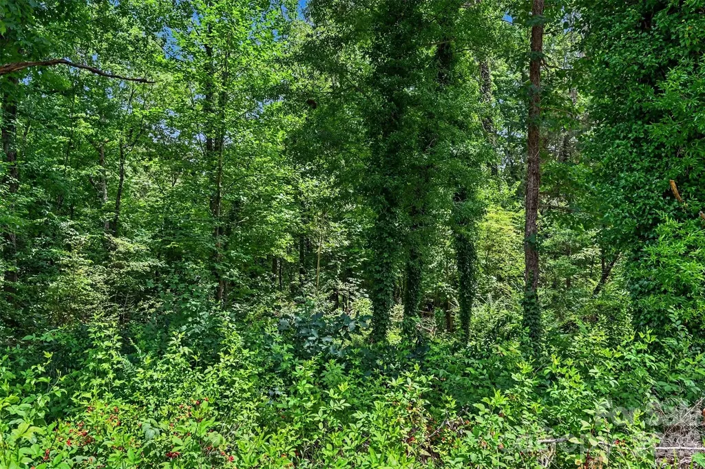 306 Elysian Drive Mooresville NC 28117