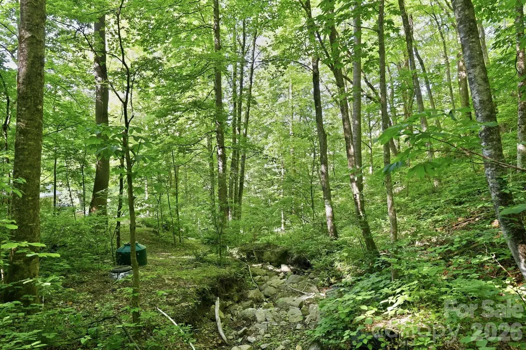 98 Sparkling Springs Road Fairview NC 28730