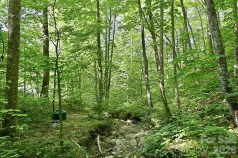 98 Sparkling Springs Road Fairview NC 28730