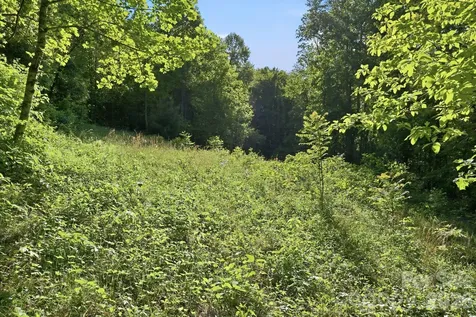 98 Sparkling Springs Road Fairview NC 28730