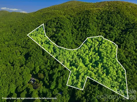 98 Sparkling Springs Road Fairview NC 28730